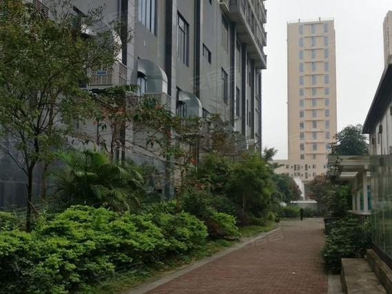 嘉信时代广场最新消息