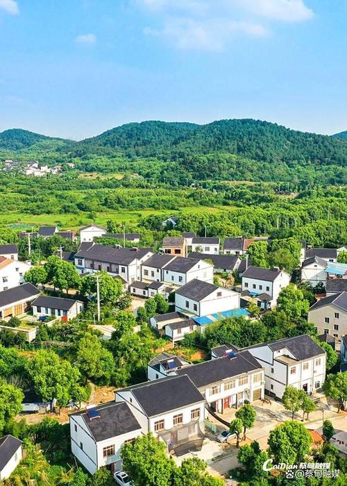 蔡甸大集新兰最新楼盘