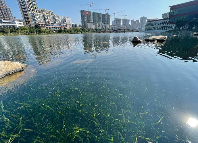 吉安赣江西堤最新消息