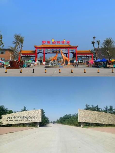 滑县东方丽景最新消息