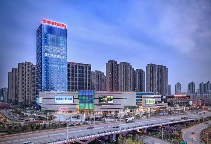 武汉市盘龙城最新新闻