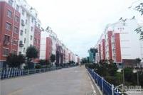 胶州市新景苑最新房价