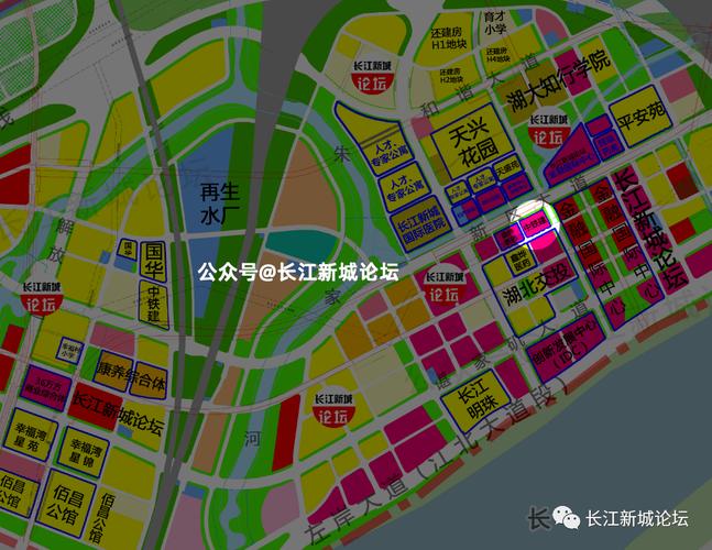 长江新城最新消息8月