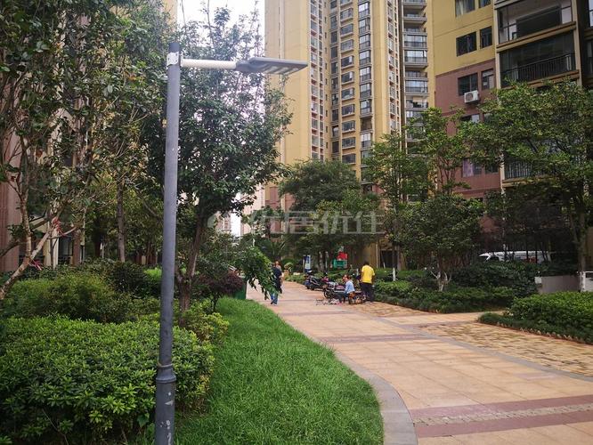 昆明金坤世纪最新消息