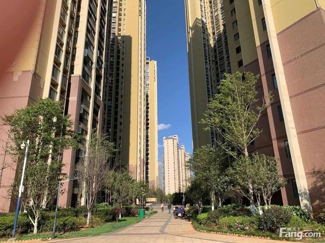 昆明金坤世纪最新消息