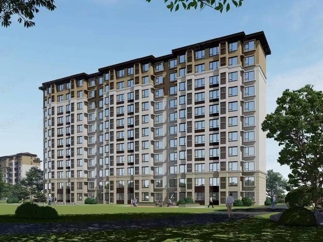 卢龙龙飞家园最新消息