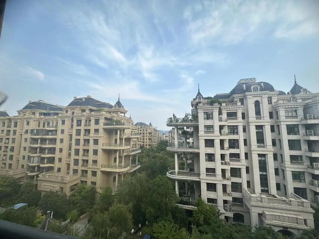 中央名邸三期最新动态