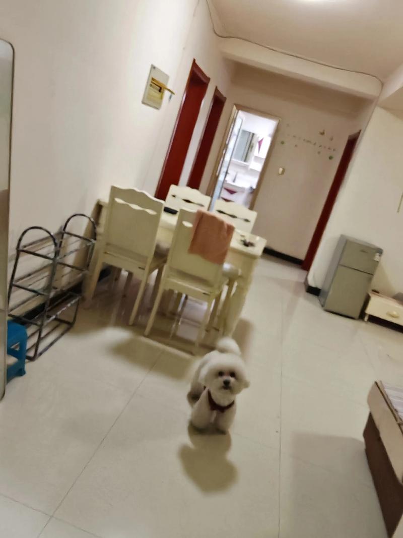 舞钢个人急售二手房