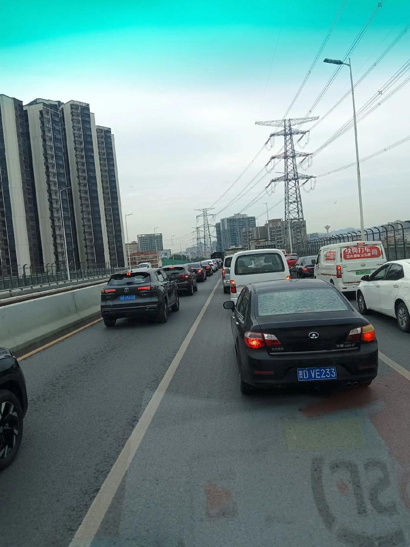 沙井新安大桥最新消息