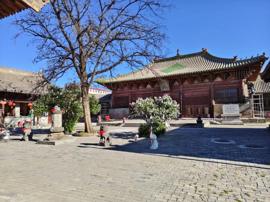 山西大同阳高最新消息