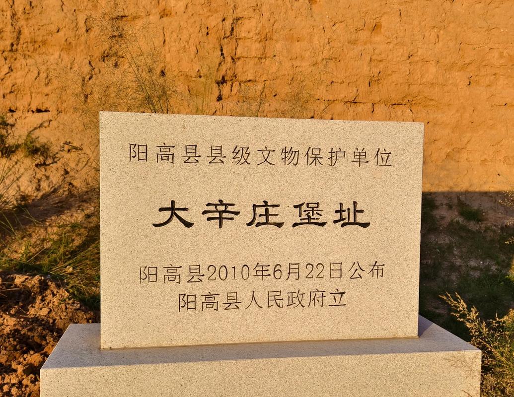 山西大同阳高最新消息