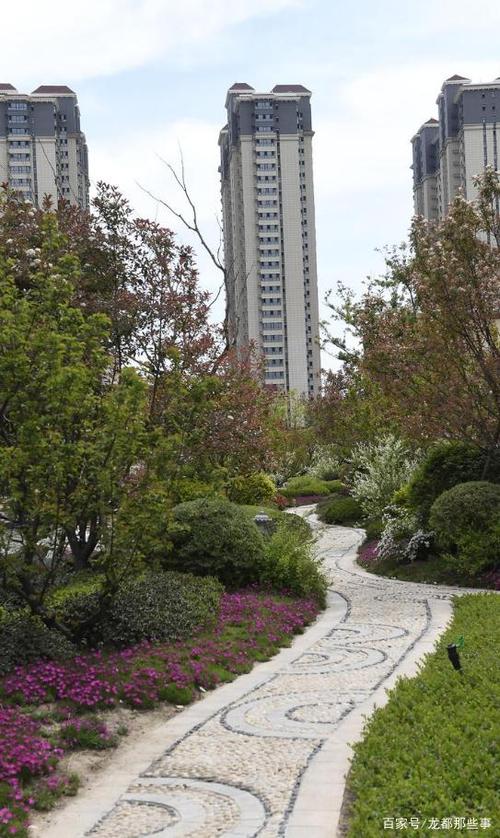 濮阳澶东社区最新消息