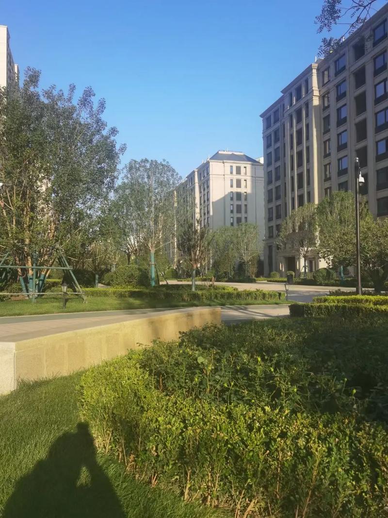 保定市新楼盘最新房价