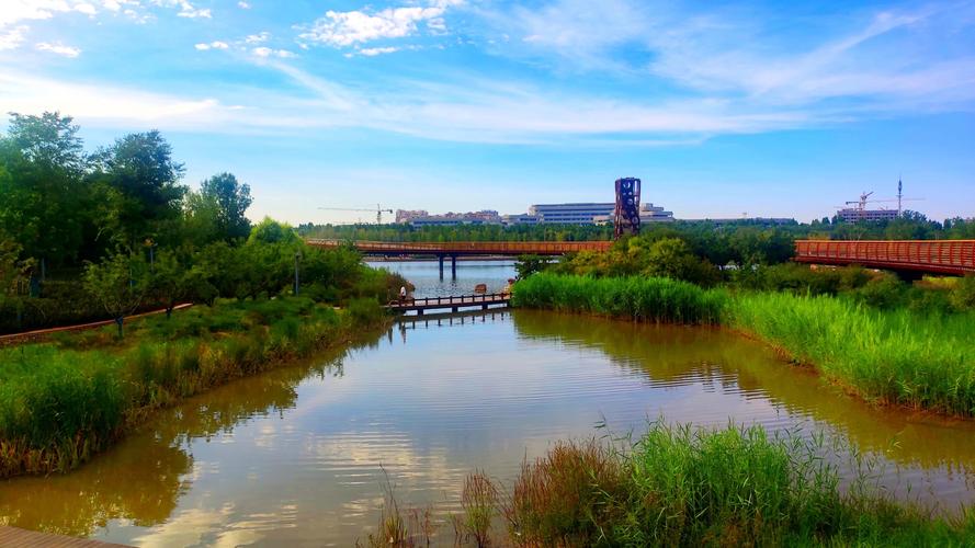 安阳洪河公园最新消息