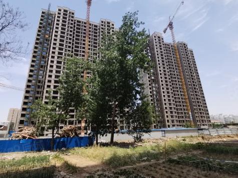 永城名门世家最新消息