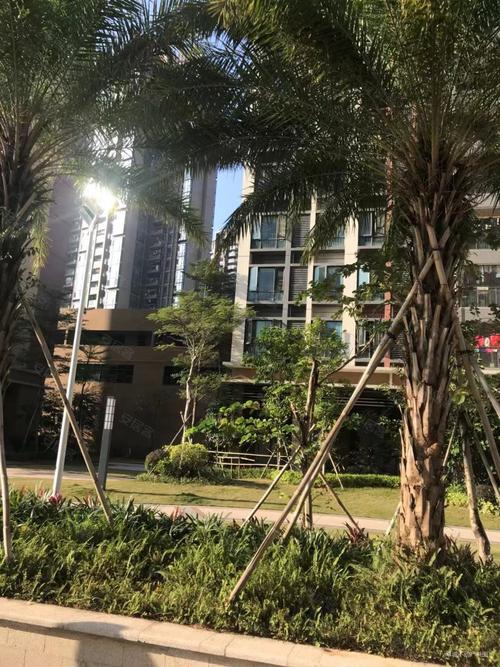 塘厦御湖半山二手房