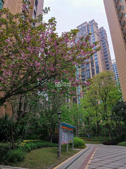 龙城国际四期最新情况