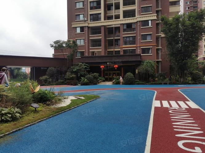 射洪云辰国际最新消息