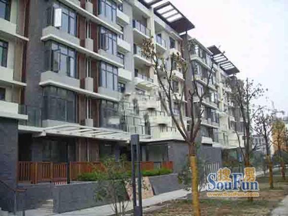 旭日上城三期房价