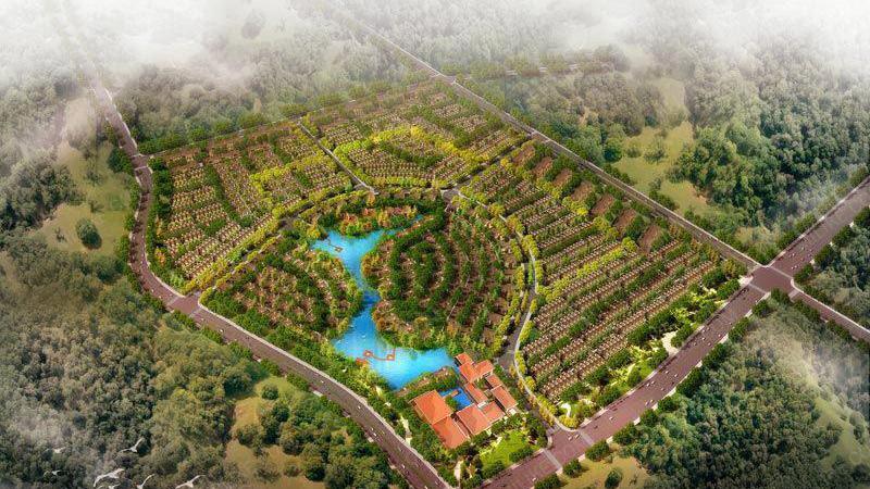 王佐镇东王佐最新规划