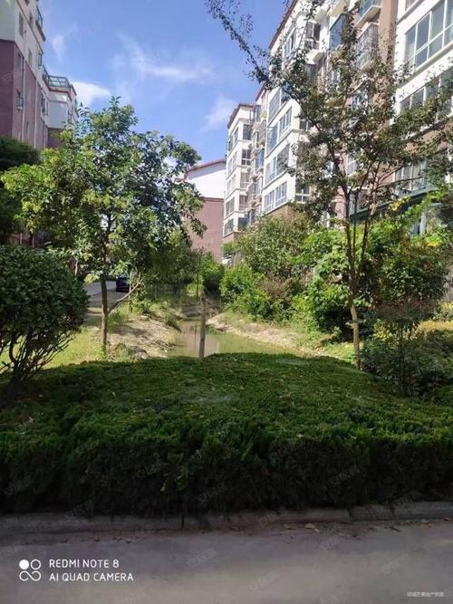 项城荣盛社区最新消息