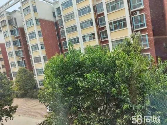 漯河南湾明珠最新消息