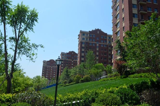 鲁商国际社区最新消息