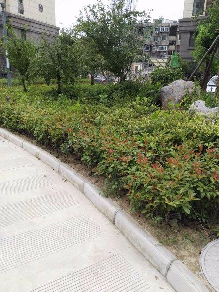 徐州叶语雅园最新房价