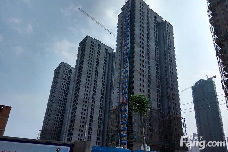 泰宏建业二期最新动态