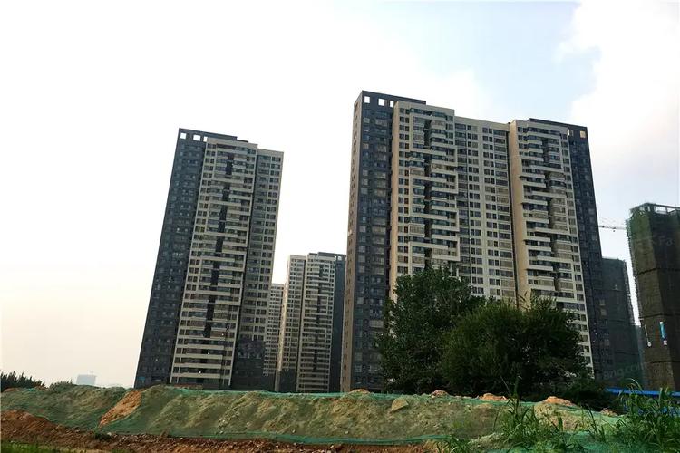 泰宏建业二期最新动态