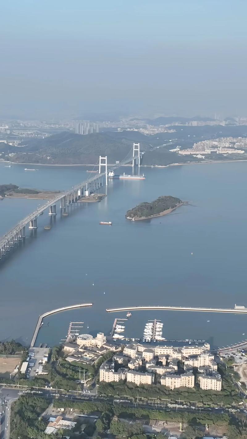 虎门二桥最新消息视频