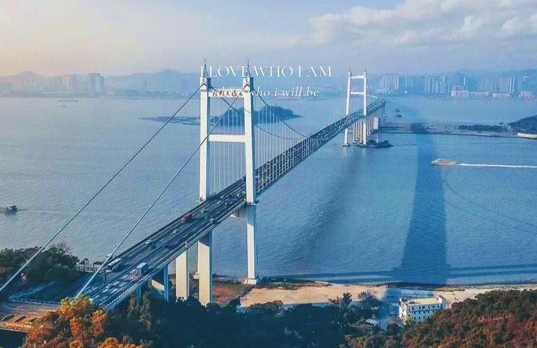 虎门二桥最新消息视频