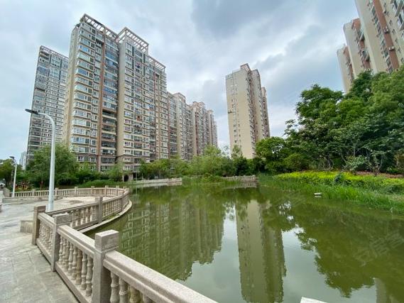 射阳润洋一品最新动态