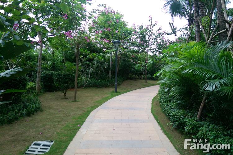 卧龙谷上上泉最新房价