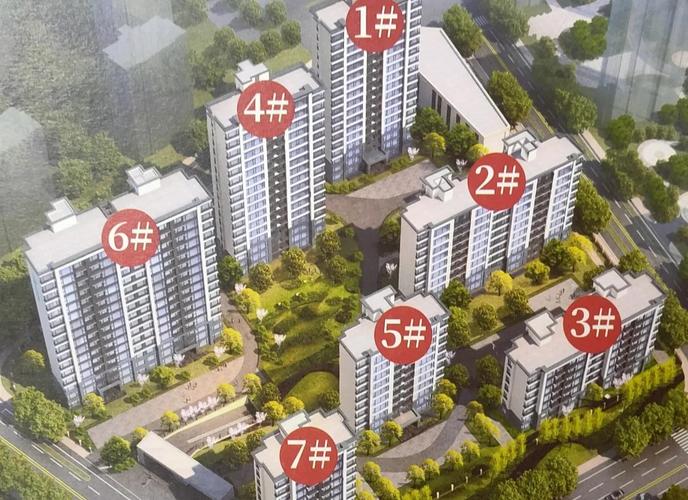 罗平金桐花苑最新情况