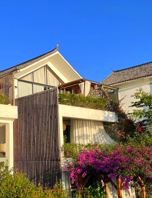 大理的小院子房价