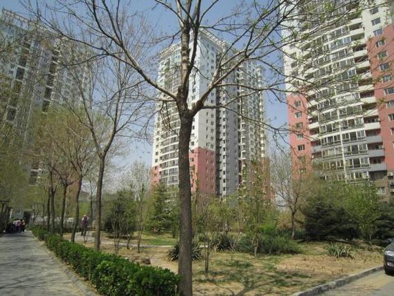 望京花园东区二手房