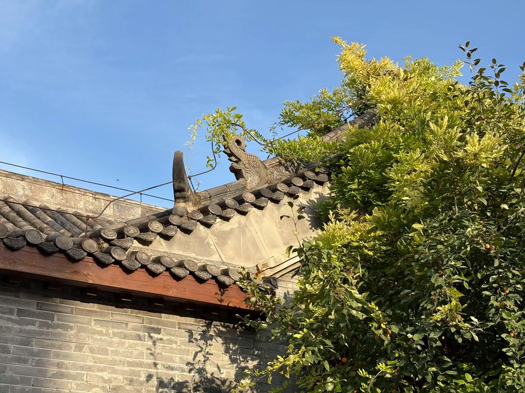 修武云台古镇最新消息