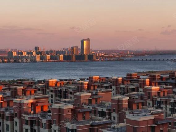 胶州半岛城邦最新消息