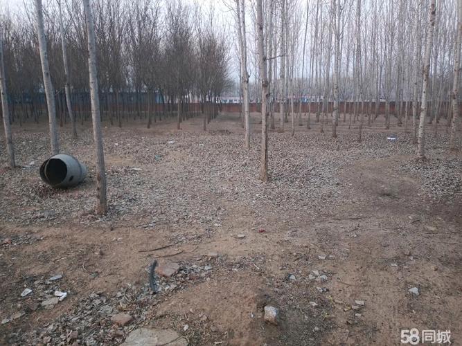 河北省巨鹿县房价