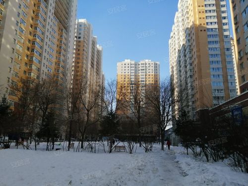 中北春城三期房价