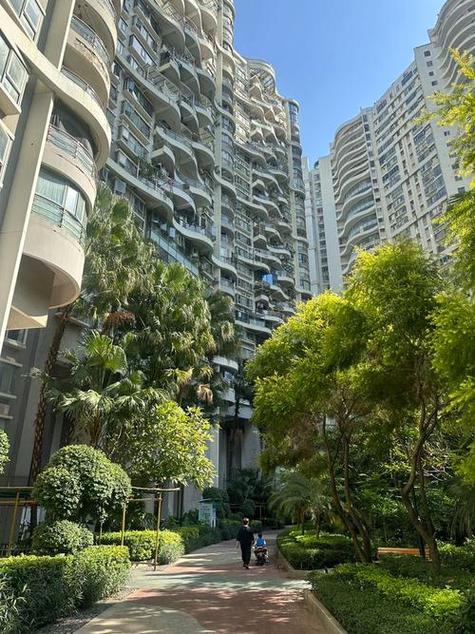 深圳漾日湾畔房价