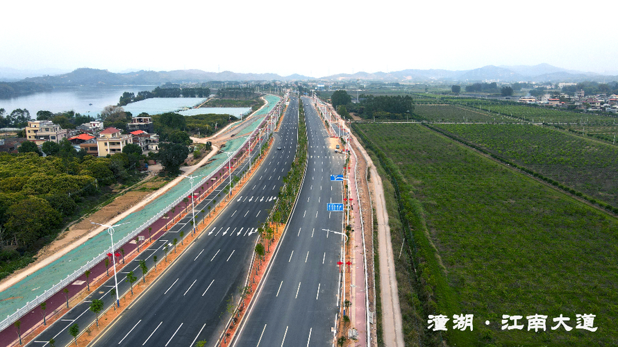 潼湖江南大道最新消息