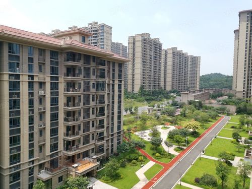 挂绿湖碧桂园最新消息