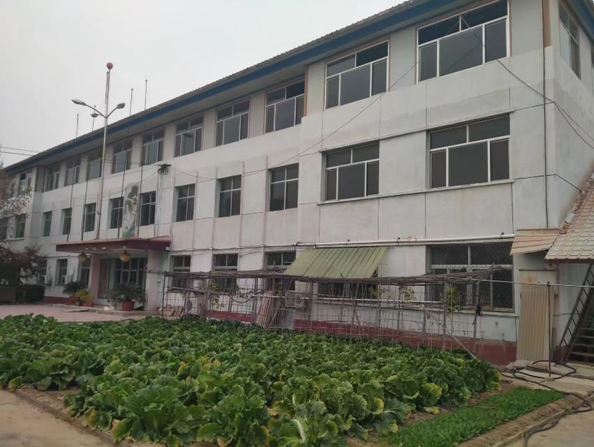 北京顺义张镇房价