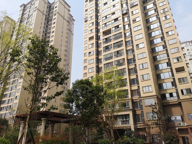 郫县君悦华庭最新情况