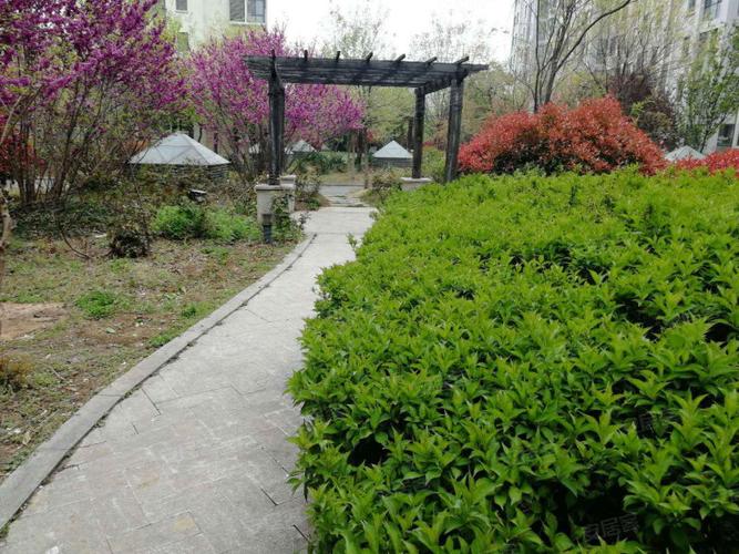 临沂警察花园二手房