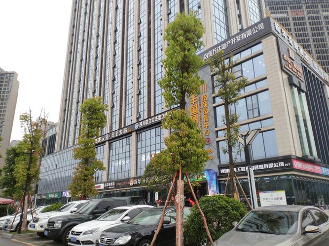 定州泰丰国际最新消息