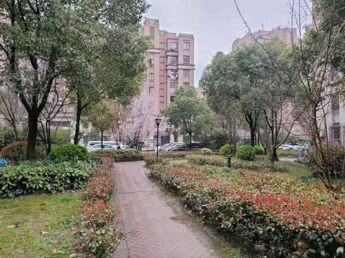 共康雅苑二期房价