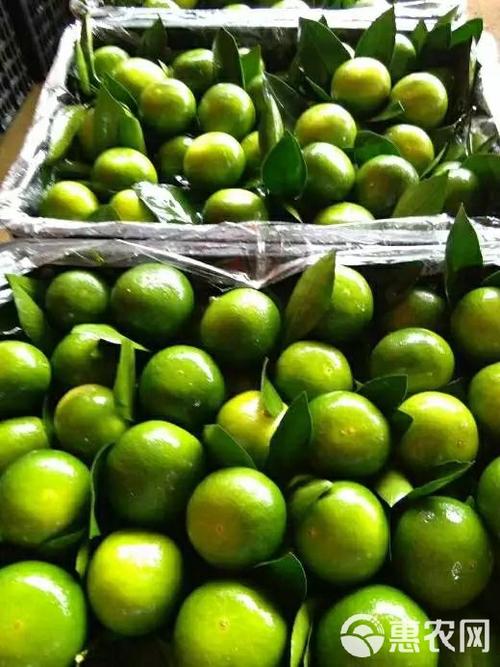 盘溪水果搬迁最新消息